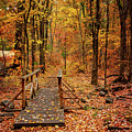 The Path Taken by Robert Frost